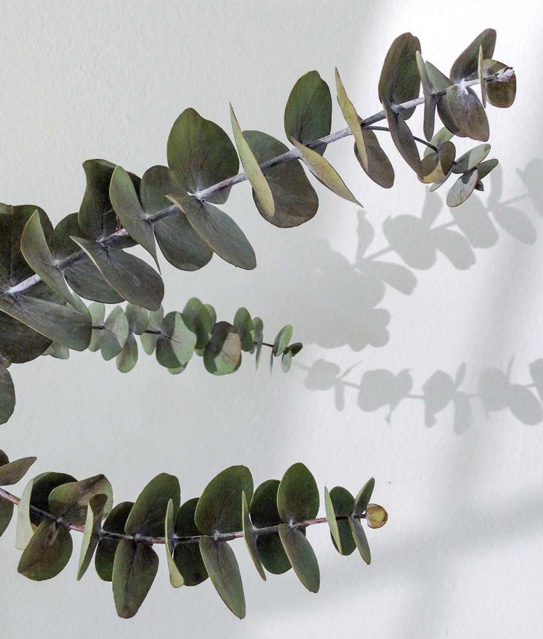 Psykolog Lise-Mette Holton - Frederiksberg - København