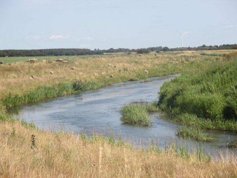 Psykolog Klara Knudsen - Tønder
