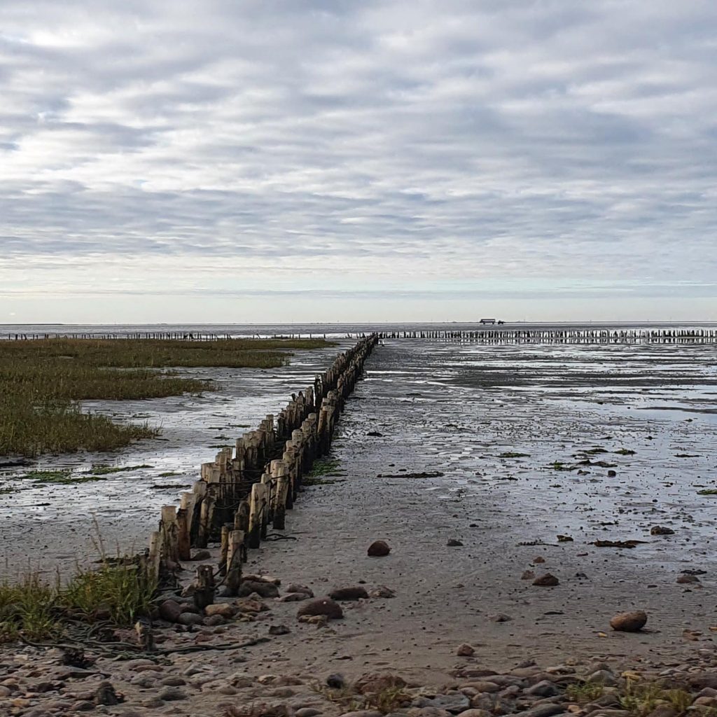 Psykolog Aabenraa - Sønderjylland