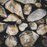 tree log lot during daytime