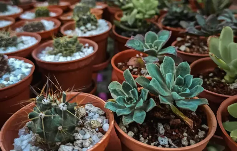 Psykolog Glostrup Viktor Nielsen